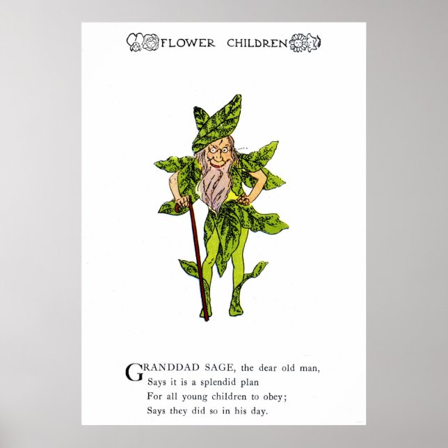 Größe Poster (Vorne)