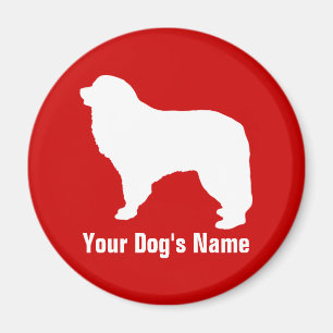 Große Pyrenäen グ ・ ピ ニ ズ レ. Magnet