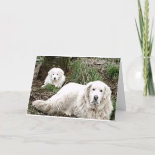 Große Pyrenäen Hund und Welpe Karte