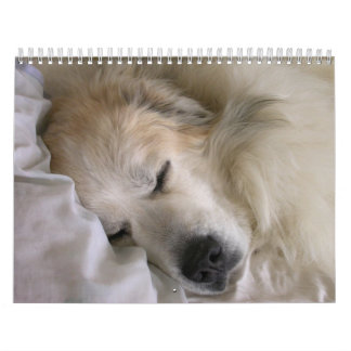 Große Pyrenäen-Kalender Kalender
