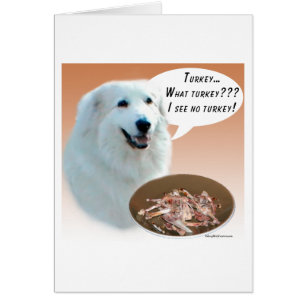 Große Pyrenäen Türkei