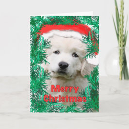 Große Pyrenäen Weihnachtskarte Feiertagskarte
