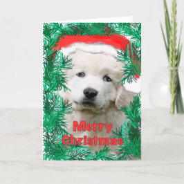 Große Pyrenäen Weihnachtskarte Feiertagskarte