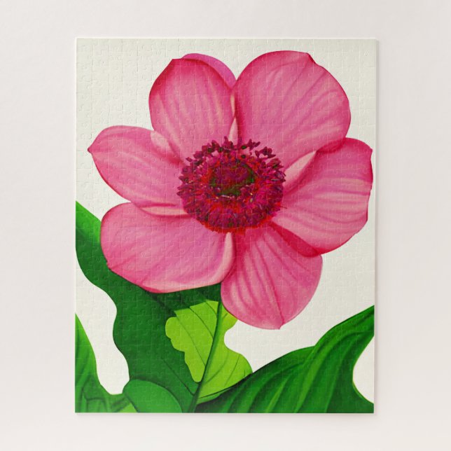 Große rosa Anemone mit smaragdgrünen Blätter (Vertikal)