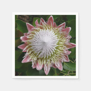 Große rosa und weiße Blume Natur Foto Serviette
