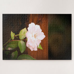 Große Rose