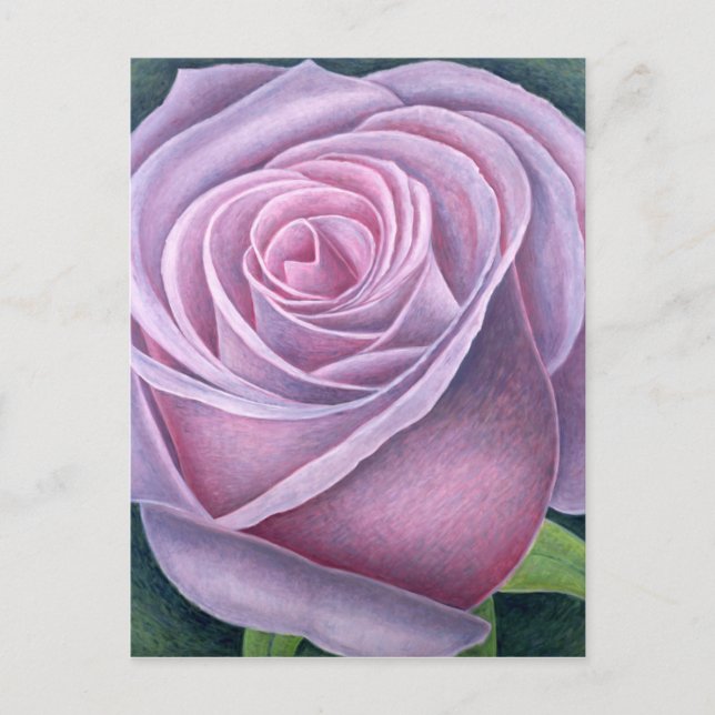 Große Rose 2003 Postkarte (Vorderseite)