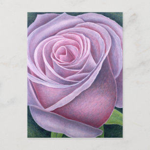 Große Rose 2003 Postkarte
