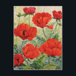 Große rote Poppies Postkarte<br><div class="desc">Große rote Pflaumen (Aquarellbilder auf Papier) Ryland Christopher / Private Sammlung / Bridgeman-Bilder</div>
