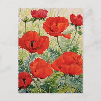 Große rote Poppies Postkarte