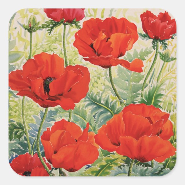 Große rote Poppies Quadratischer Aufkleber (Vorderseite)