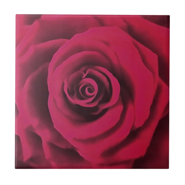Große Rote Rose Fliese (Vorderseite)