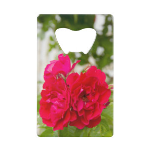Große rote Rosen im Garten Geldbeutel Flaschenöffner