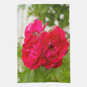 Große rote Rosen im Garten Geschirrtuch