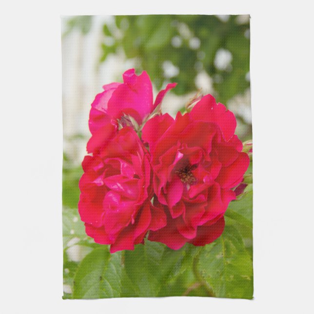 Große rote Rosen im Garten Geschirrtuch (Vertikal)