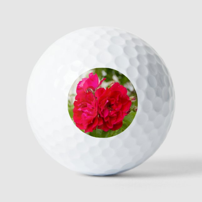 Große rote Rosen im Garten Golfball (Vorderseite)