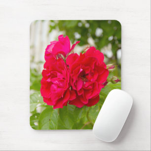Große rote Rosen im Garten Mousepad