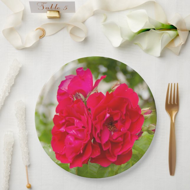Große rote Rosen im Garten Pappteller (Hochzeit)
