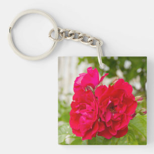 Große rote Rosen im Garten Schlüsselanhänger