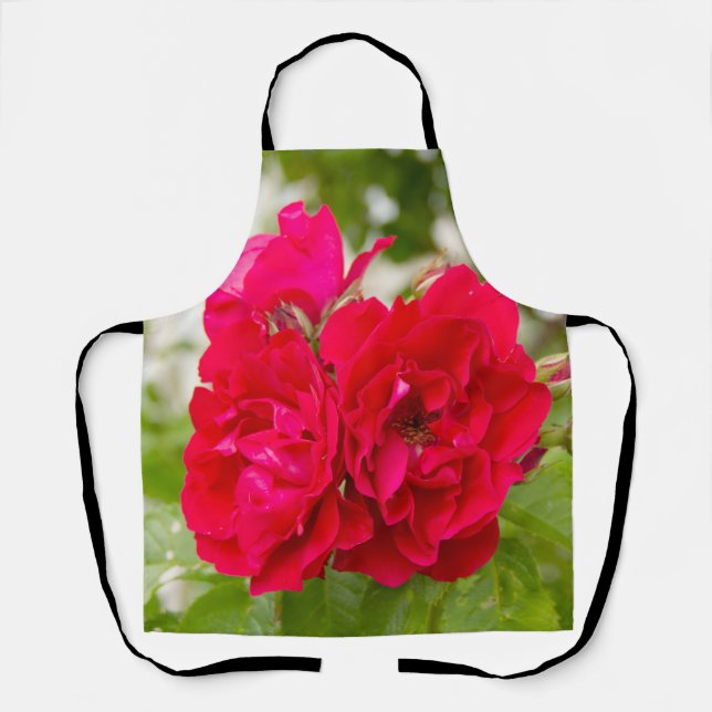 Große rote Rosen im Garten Schürze (Vorderseite)