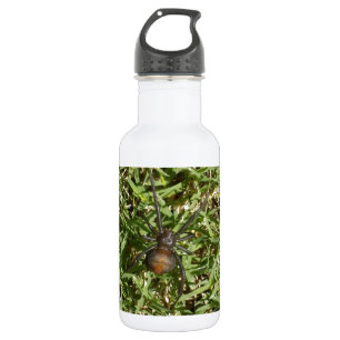 Große_Rotrückenspinnen-Weibchen_ Edelstahlflasche