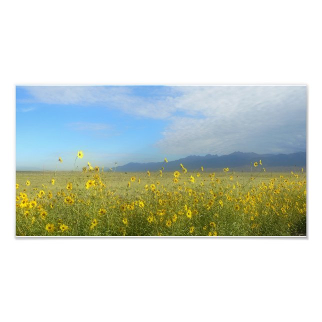 Große Sanddünen, Sangre de Cristo, Blume Fotodruck (Vorne)