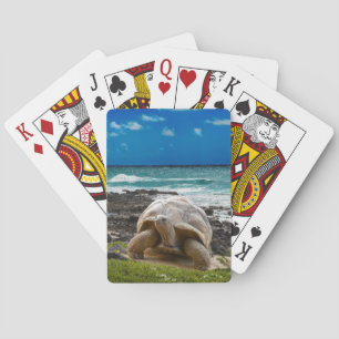 Große Schildkröte am Meer Spielkarten