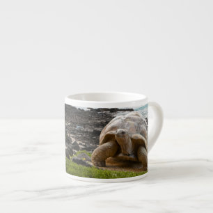 Große Schildkröte am Seerand Espressotasse