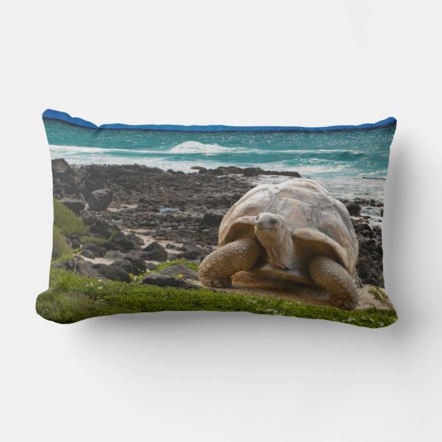 Große Schildkröte am Seerand Lendenkissen (Vorderseite)