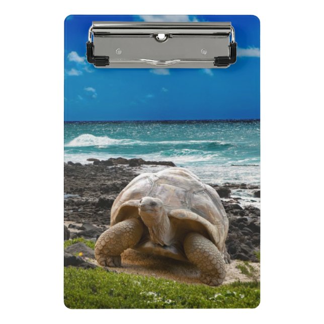 Große Schildkröte am Seerand Mini Klemmbrett (Vorderseite)