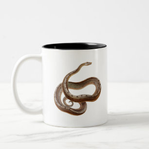 Große Schlange Zweifarbige Tasse
