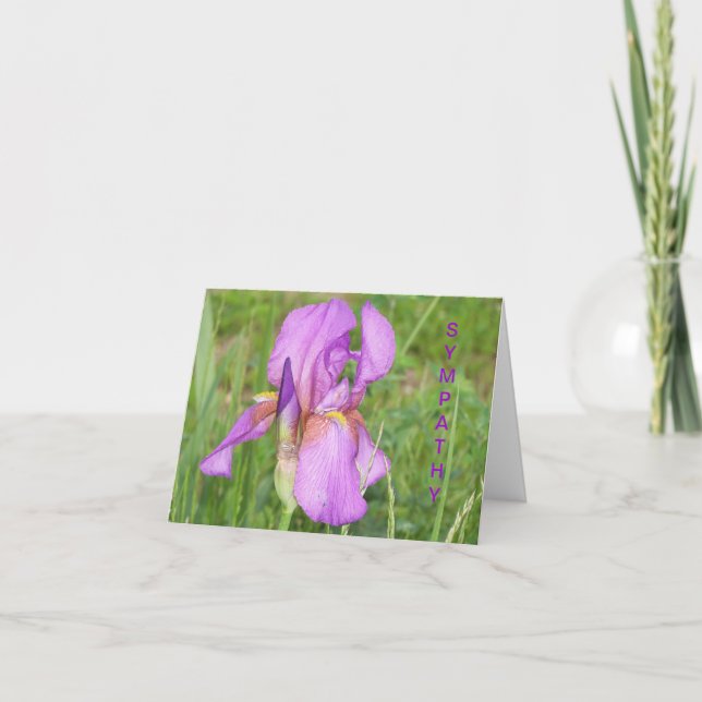 Große schöne Iris, Beileid Karte (Vorderseite)