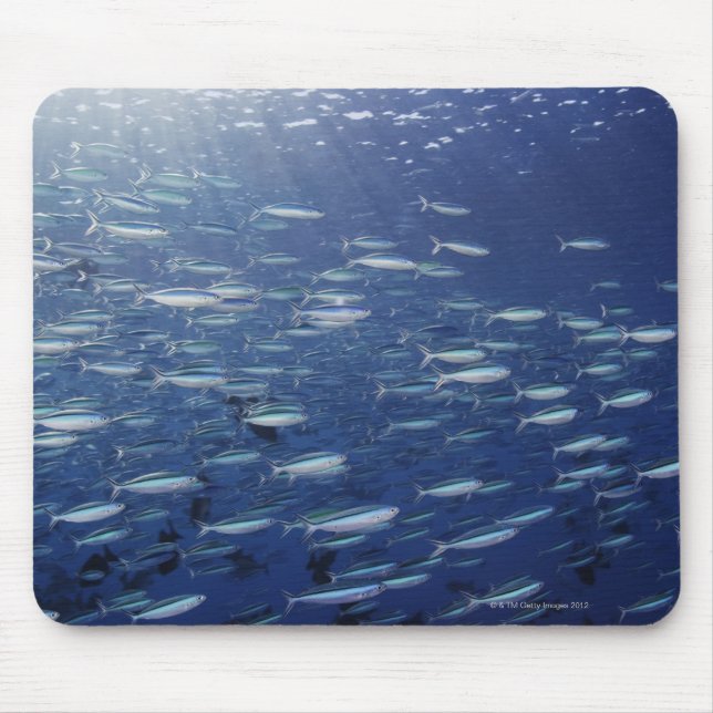 Große Schule der Bluestreak-Fusiliers Mousepad (Vorne)