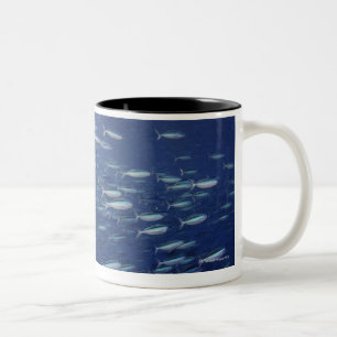 Große Schule von bluestreak fusiliers Zweifarbige Tasse