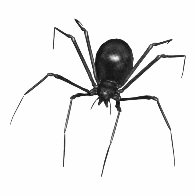Große schwarze gruselige Spinne 3D Fotoskulptur Ornament (Vorne)