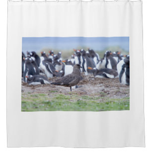 Große Skua vor der Pinguinkolonie Duschvorhang