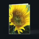 Große Sonnenblume erhalten Brunnen, oder Karte<br><div class="desc">Ändern Sie die Wörter auf der Front und dem Innere dieser schönen Sonnenblume für jede mögliche Gelegenheit,  die Sie wie Geburtstag benötigen,  den Tag der Mutter,  Beileid,  viel Glück,  Glückwünsche und viel anderen Gebrauch. Zu zusammenpassende Briefmarken u. Geschenkeinzelteile sehen,  zu meinem SORTIERTEN BLUMEN-ABSCHNITT zu gehen.</div>