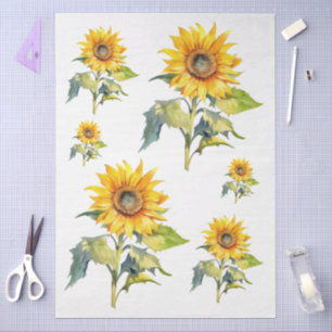 Große Sonnenblumen Deko Seidenpapier