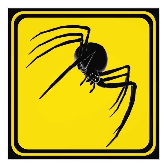 Große Spinne überquert! Fotodruck (Vorne)