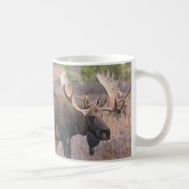 Große Stier-Elche Kaffeetasse (Rechts)