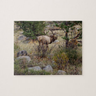 Große Stier-Elche - Puzzlespiel