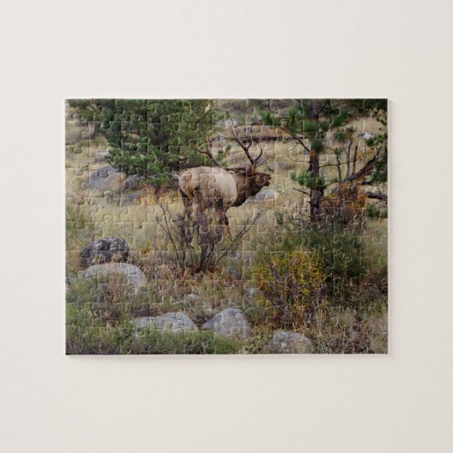 Große Stier-Elche - Puzzlespiel (Horizontal)