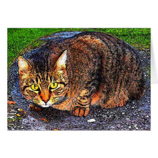 Große Tabby-Katze