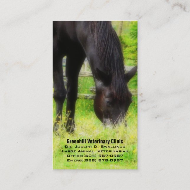 Große Tier (Pferd) tierärztliche Geschäfts-Klinik Visitenkarte (Vorderseite)