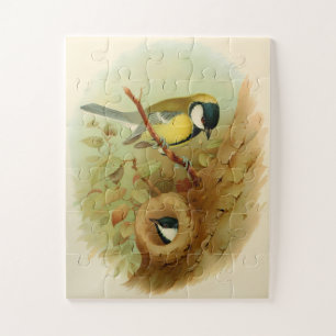 Große Titte - farbenfroher Vogel, Kunst
