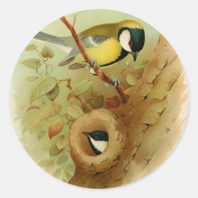 Große Titte - farbenfroher Vogel, Kunst Runder Aufkleber (Vorderseite)