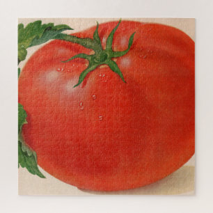große Tomate