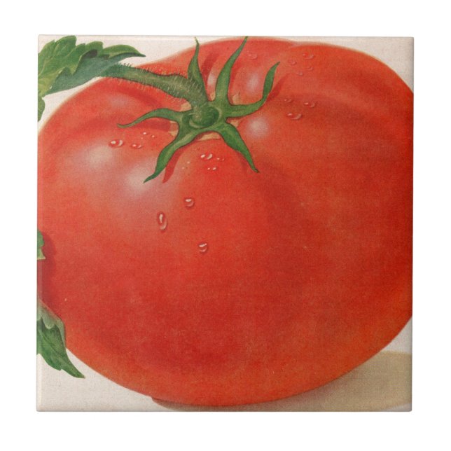 große Tomate Fliese (Vorderseite)