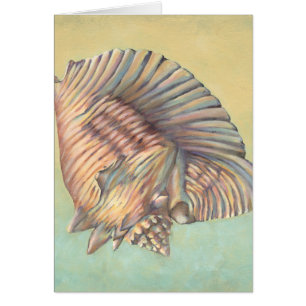 Große Tritonshorn-PastellMuschel