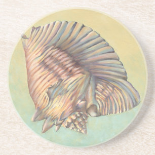 Große Tritonshorn-PastellMuschel Getränkeuntersetzer